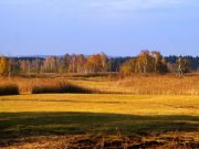 Carl Sandburg, “Autumn Movement”